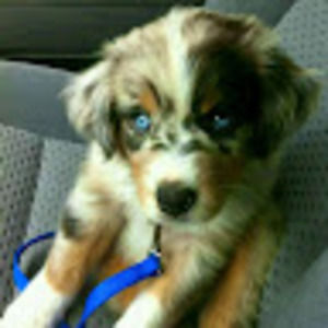 Meet your Posher, Connie